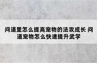 问道里怎么提高宠物的法攻成长 问道宠物怎么快速提升武学